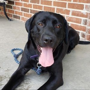 Meet your Posher, Bryan